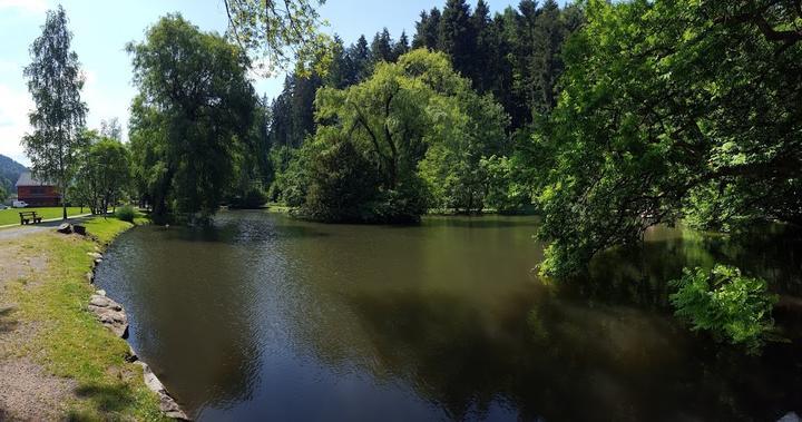 Restaurant Waldsee-Terrasse