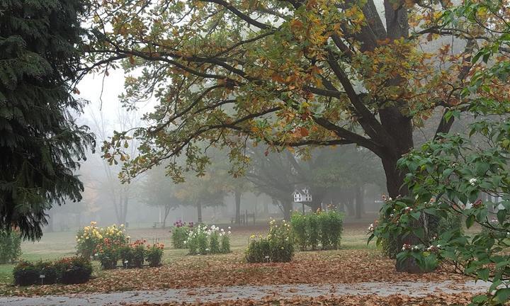 Weinbrunnen Im Kurpark